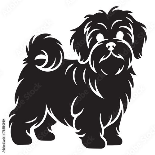 Black and white silhouette of a cute maltese dog isolated on white background