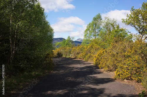 View north to Cruach Tairbeirt and Ben Vorlich from the path near Firkin Point, a viewpoint off the A82 on the west shore of Loch Lomond, OS map ref NN 338 007, Argyll and Bute, Scotland.