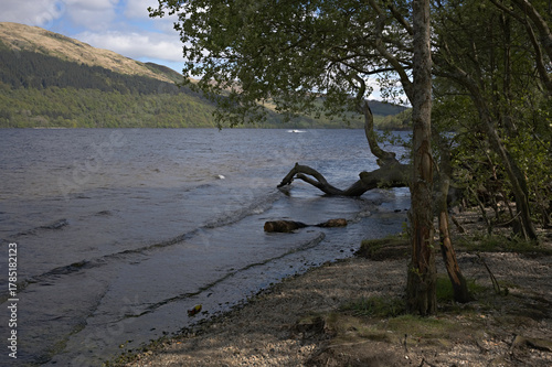 View from the little beach at Firkin Point, a viewpoint off the A82 on the west shore of Loch Lomond, OS map ref NN 338 007, Argyll and Bute, Scotland.