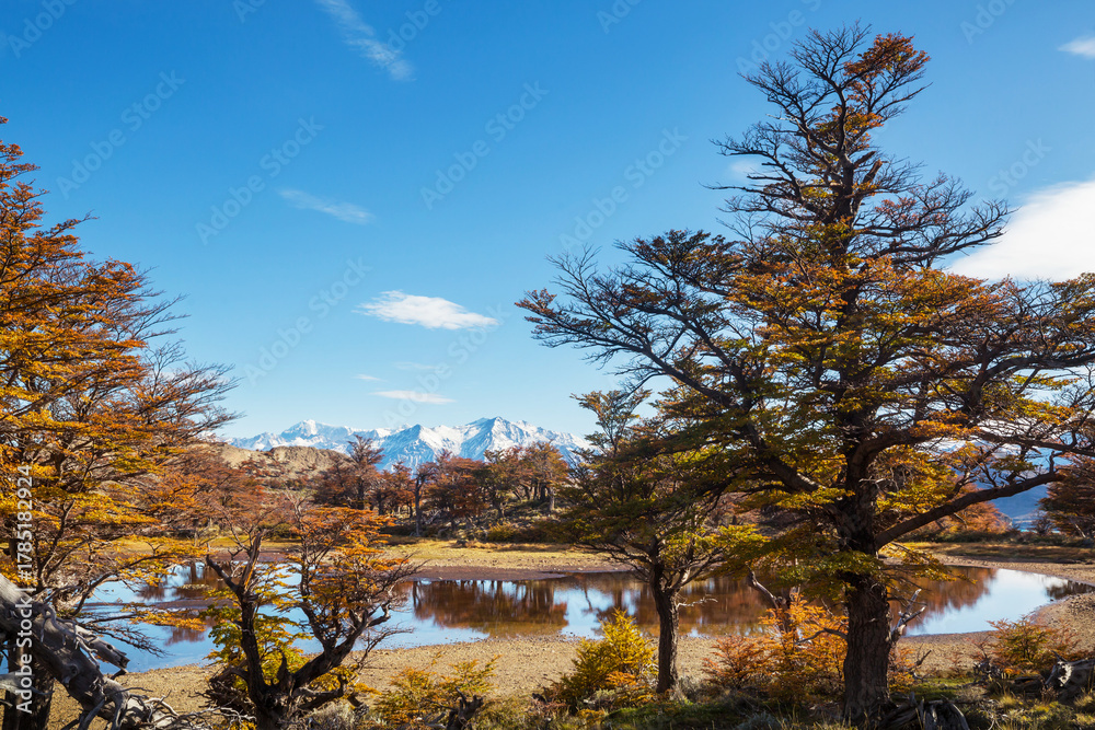 Naklejka premium Autumn in mountains
