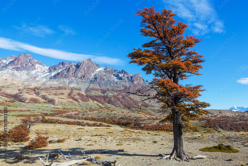 Fototapeta premium Autumn in mountains