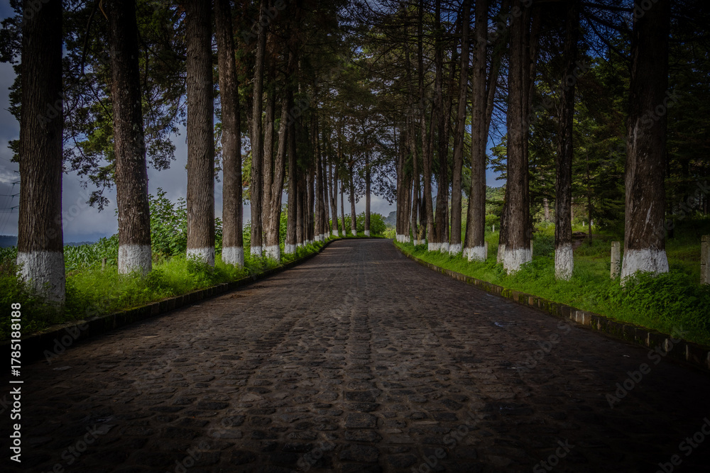 Naklejka premium The Estribo Grande en Patzcuaro, Michoacan