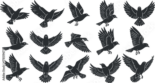 Stylized black silhouette vector illustration set of various flying and perched birds for nature-themed design projects