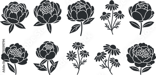 Elegant black and white vector illustration set of floral designs featuring peonies and daisies for creative projects
