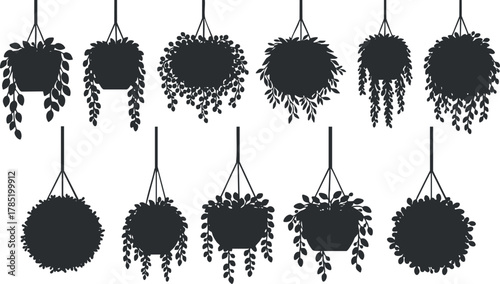 Silhouette vector illustration of hanging plants in pots, perfect for home decor and botanical design projects