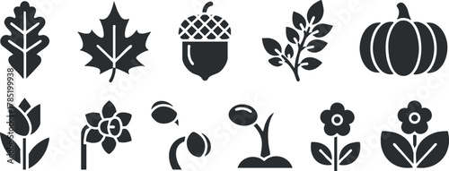 Silhouette vector icon set featuring autumn-themed elements like leaves, acorns, flowers, and pumpkins for seasonal design projects