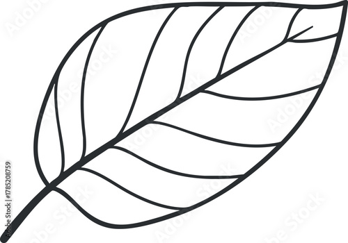 Minimalist outline vector illustration of a single leaf, ideal for nature-themed design projects and eco-friendly branding