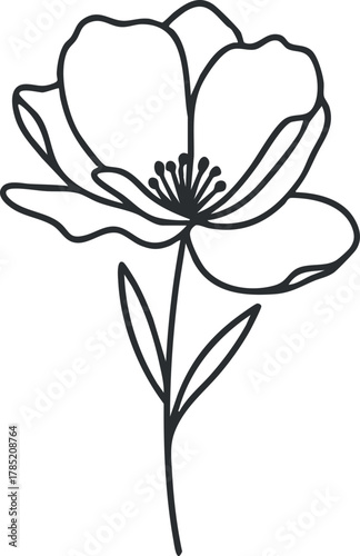 Elegant line art illustration of a single flower with delicate petals and a slender stem for botanical design projects