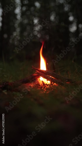 A small cozy campfire in the forest. A quiet, peaceful evening is the best time to meditate.