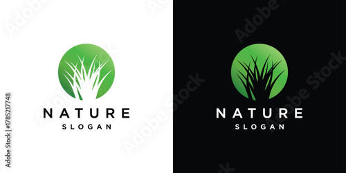 Natural Vector grass logo. Design templates for wild grass, artificial grass, field grass, lawn grass, wild grass.