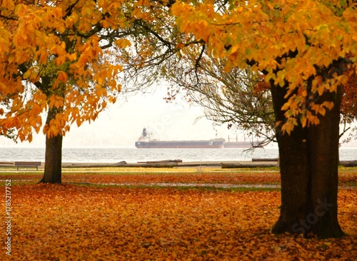 Valokuva Autumn trees of orange leaves framing freighter on ocean water