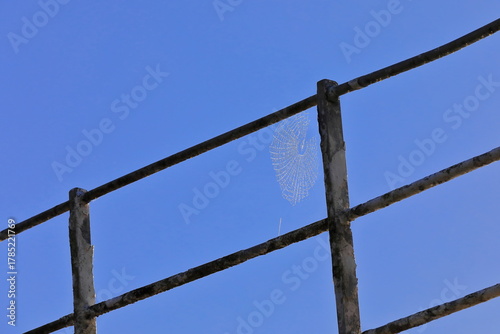 Classic circular cobweb on the rusting railing of the Golden Harvest shipwreck stranded on the beach at Loch Linnhe N end. Fort William-Scotland-058