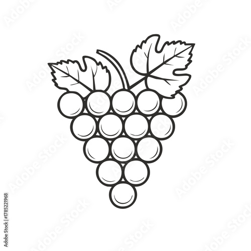 Stylized Black and White Line Art Cluster of Grapes with Leaves