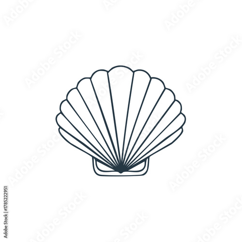Simple outline drawing of a fan-shaped seashell