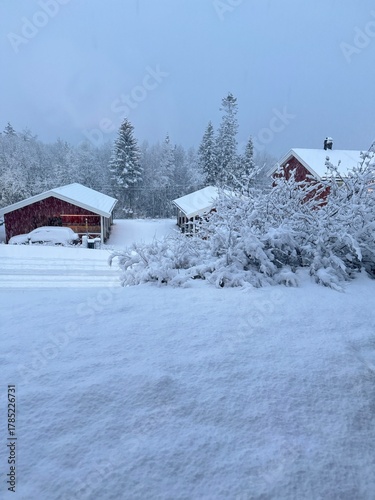 Photography Snow falling in foreground with snow-covered bushes, buildings, and a forest in the background