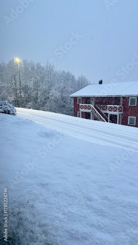 Photography Snow falling in foreground with snow-covered bushes, buildings, and a forest in the background