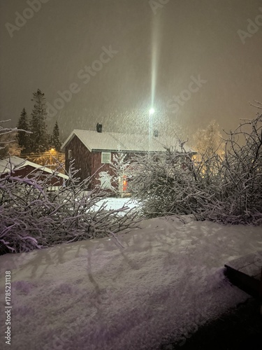 Wall Mural Evening snow falling outside, illuminated by a street lamp behind snow-covered bushes