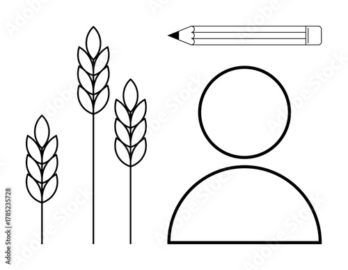 Wheat stalks next to a human figure and pencil outline suggest agriculture, resource management, education, sustainability, growth, creativity, and planning. Ideal for simple flat metaphor