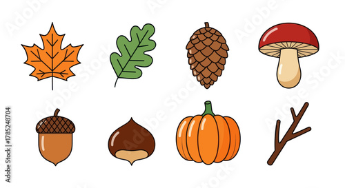 Autumnal nature elements leaf acorn pumpkin mushroom isolated vector set