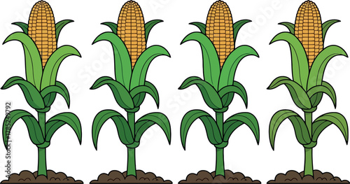 Four cartoon corn stalks stand in a row against a white background.