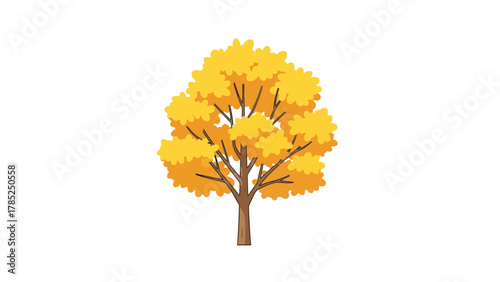 A cartoon of a deciduous tree with yellow and orange foliage