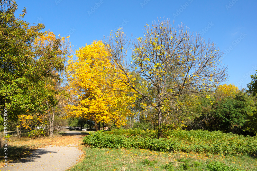 Naklejka premium Autumn Landscape of South Park in city of Sofia, Bulgaria