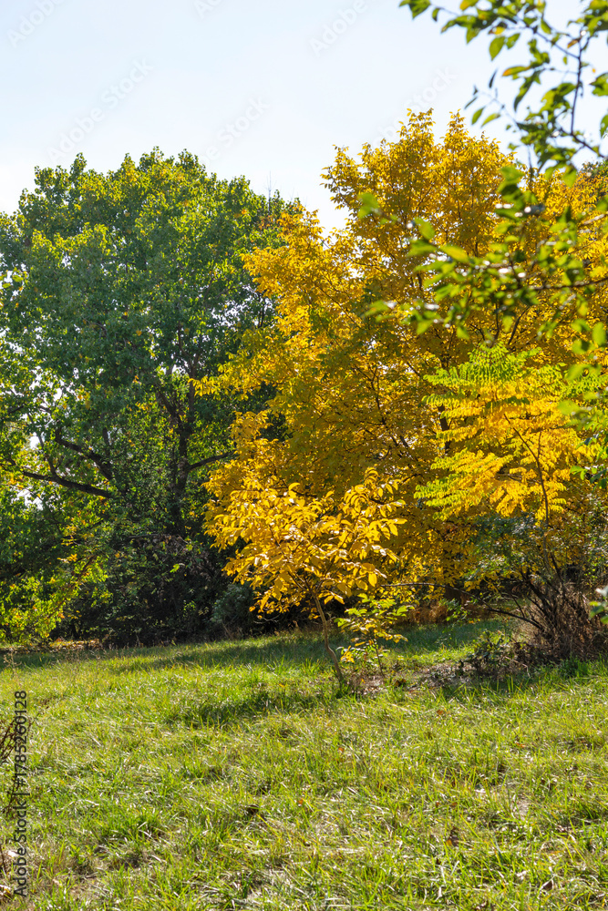 Fototapeta premium Autumn Landscape of South Park in city of Sofia, Bulgaria