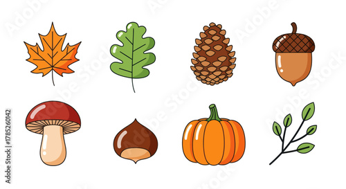 Autumnal elements vector illustrations of leaves acorn mushroom pumpkin