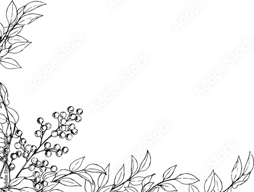 ペンで描いた南天のフレーム