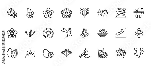 24 set of outline web nature icons such as iris, tree, rosemary, cliff, rose vector thin icons for report, presentation, diagram, web design, mobile app