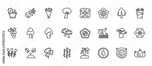 24 set of outline web nature icons such as asteroids, petals, sugar maple tree, gray birch tree, bamboo plant from japan vector thin icons for report, presentation, diagram, web design, mobile app