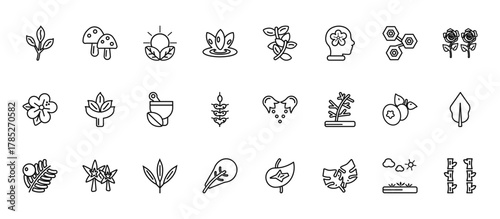 24 set of outline web nature icons such as amanita, briar leaf, sprig with five leaves, bilberry leaf, obovate vector thin icons for report, presentation, diagram, web design, mobile app