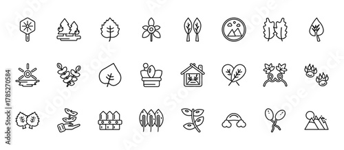 24 set of outline web nature icons such as pine tree on fire, lanceolate, rowan leaf, grape leaf, lemon leaf vector thin icons for report, presentation, diagram, web design, mobile app