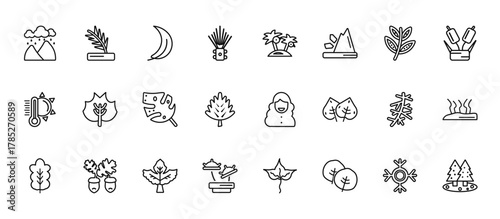 24 set of outline web nature icons such as pine leaf, coconut tree standing, poplar leaf, larch leaf, carnivorous plant vector thin icons for report, presentation, diagram, web design, mobile app