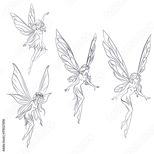 Collection of vector lined beautiful fairy nymphs in elegant style