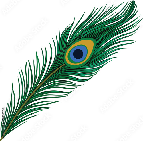 Illustration of a vibrant peacock feather with green fronds and an eye-like pattern in blue and gold, set against a white background. Elegant and colorful.