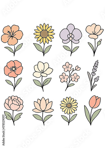 set of vector flowers