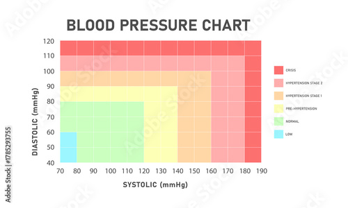 Blood pressure chart showing categories of blood pressure in an infographic style. Suitable for heart related medical healthcare. Vector Illustration blood pressure chart and categories.