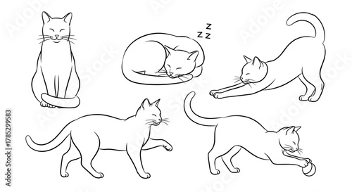 Illustration of five cats in various poses in black and white