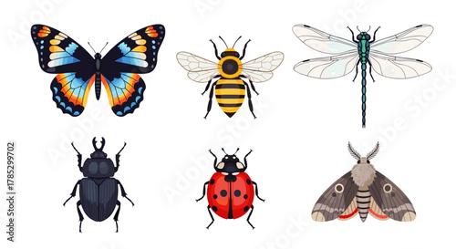 Illustration of six different types of insects on a white background