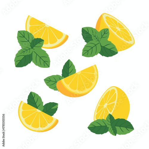 Yellow lemon slices and green mint leaves arranged on white vector.