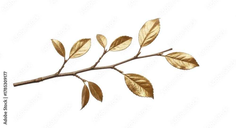 Obraz premium Golden branch with autumn leaves on a transparent background PNG image, elegant nature decoration PNG file