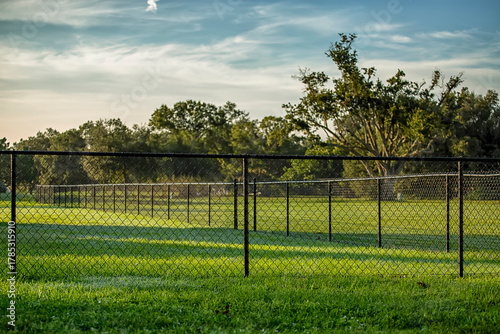 Black Chain Link Fence
