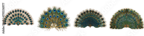 Stunning peacock feather fans, vibrant emerald and gold tones for elegant event design, exotic themes, and unique decor, originally a scalable vector graphic