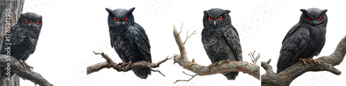 Eerie Black Owl with Glowing Red Eyes Perched on Branches, Perfect for Halloween Designs and Mysterious Projects, Originally a Scalable Vector Graphic
