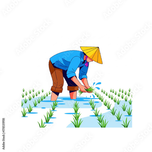 Farmer Planting Rice Seedlings in Field