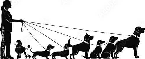 Silhouette of a professional dog walker handling multiple dogs on leashes, showing various breeds, representing pet care, animal service business, responsibility, and walking job vector design.
