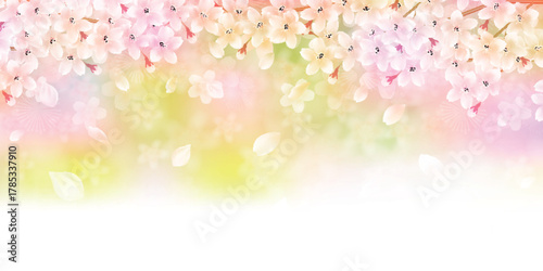 桜　和紙　模様　背景　