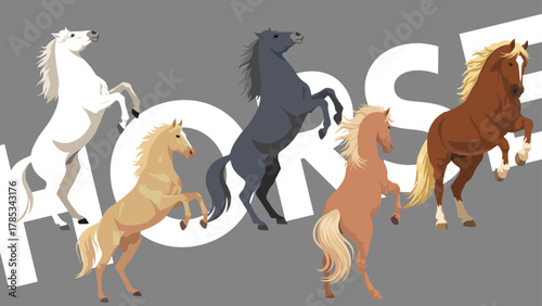 立ち上がるクールな馬たち