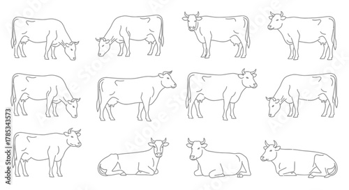 farm animals collection
